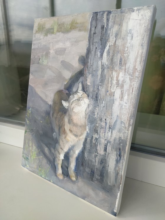 Cat