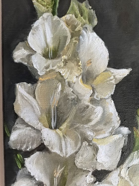 Gladiolus bouquet