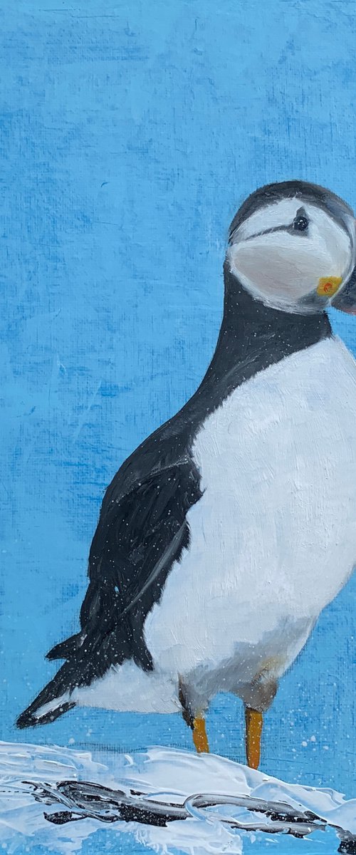 Puffin by Laure Bury