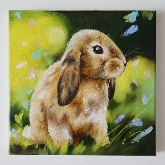 Little Bunny in Spring Light