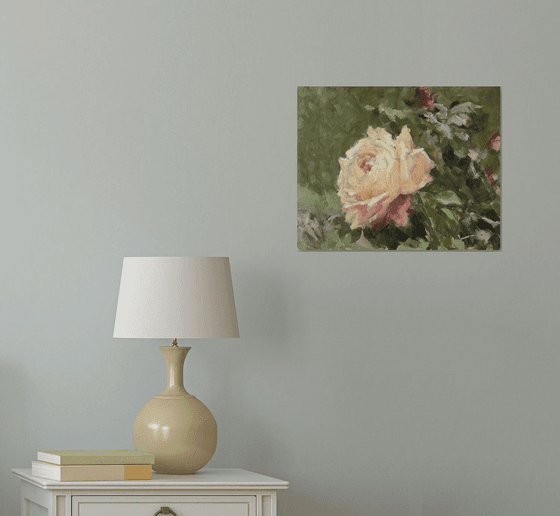 Study of a Peach Rose