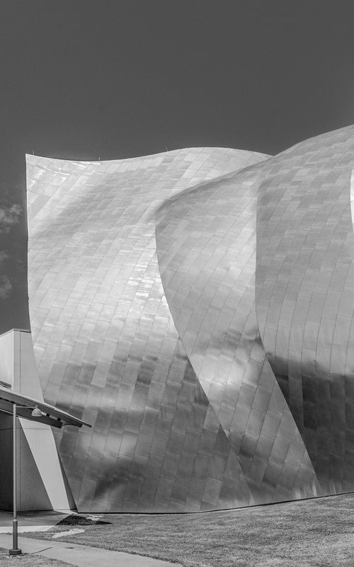 Gehry at Bard by Adam Regan