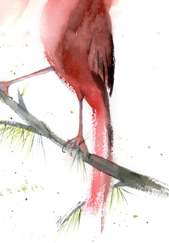 Cardinals in love