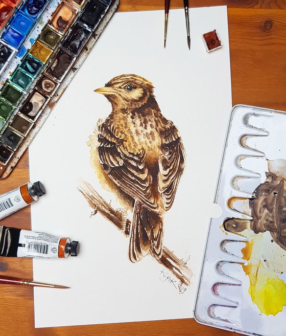Sky Lark,  birds, wildlife watercolours