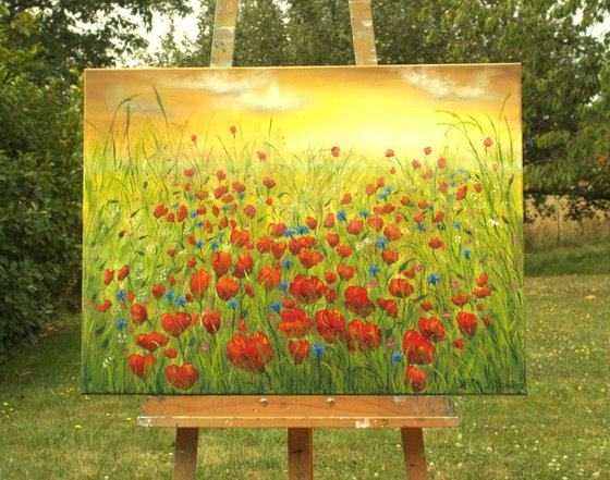 Sunset at the poppy field