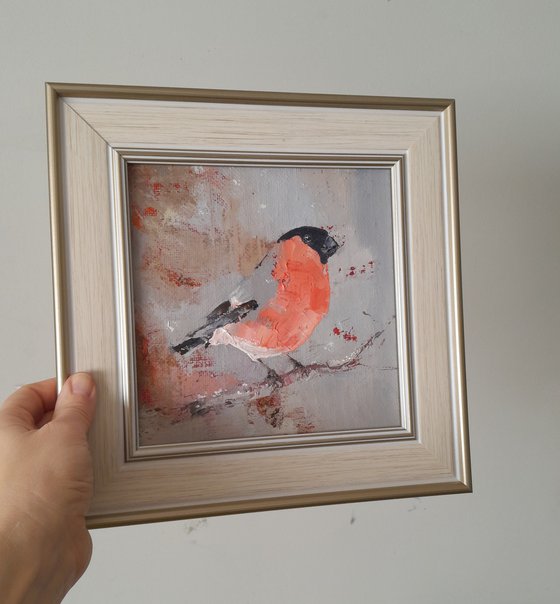 bullfinch