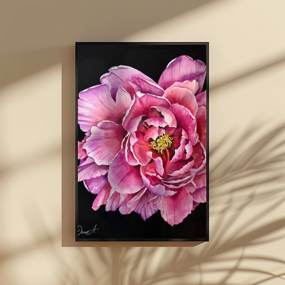 Midnight Peony