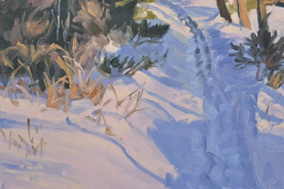 Snowy Path in Mézenc Massif