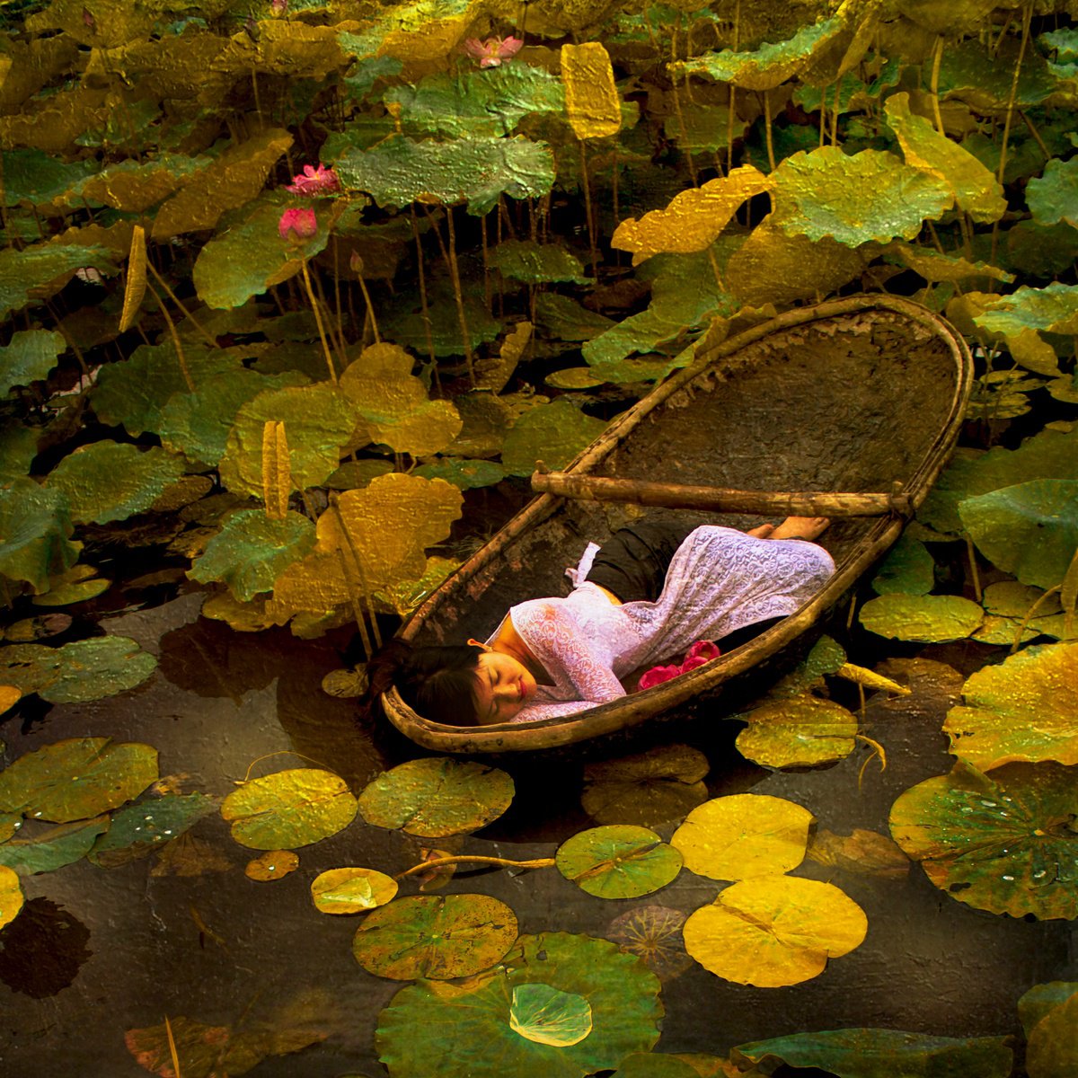 Impressionistic Photograph , The Golden Lotus Lake By Viet Ha Tran, 32 X 37, Artwork For Sale On Artfinder