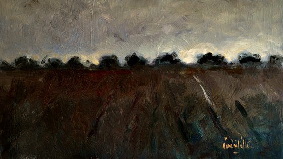 'Earthy' Field and Trees