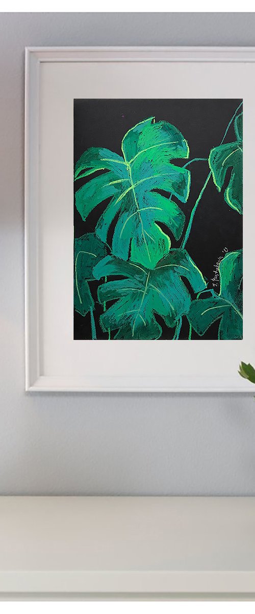 Monstera by Yuliia Pastukhova