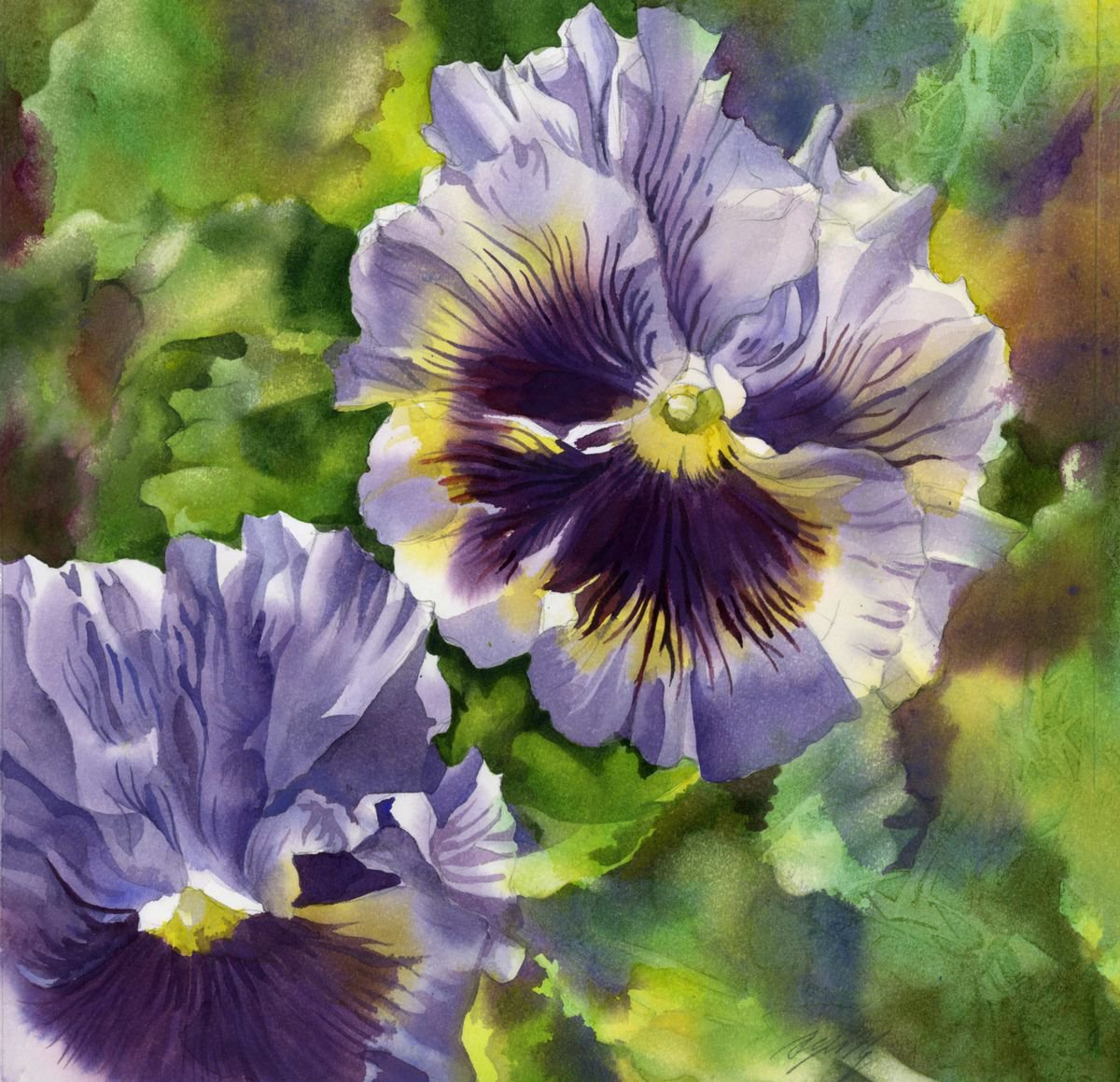 blue pansy by Alfred  Ng