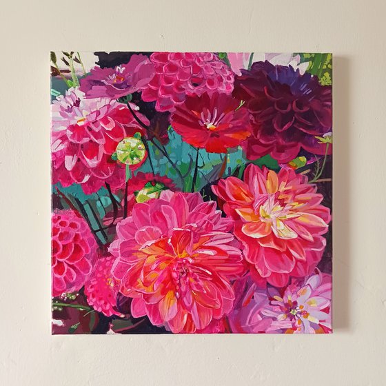Dahlias