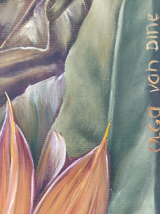 Strelitzia