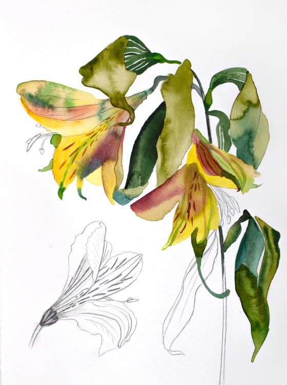 Lilies No. 8