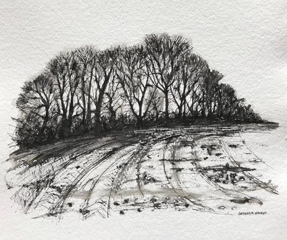 Winter Trees in Pen and Ink - Flitcham Norfolk Landscape