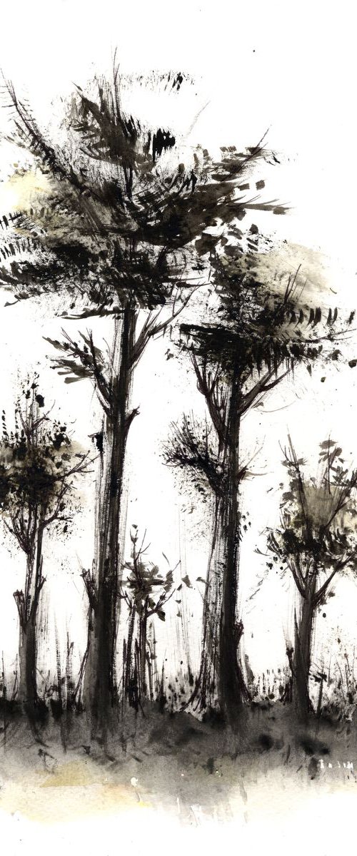 Black forest by Aniko Hencz