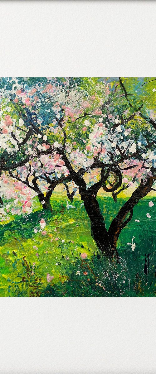 Orchard Series - First blossom by Teresa Tanner