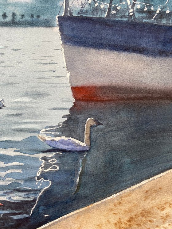 City ​​and Swans