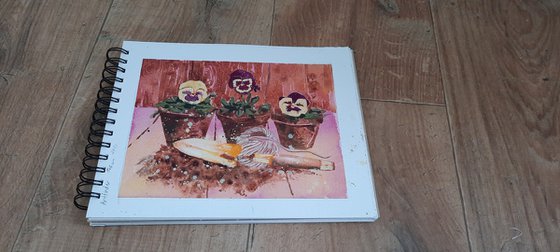 Potting shed Pansies - Original Watercolour Painting