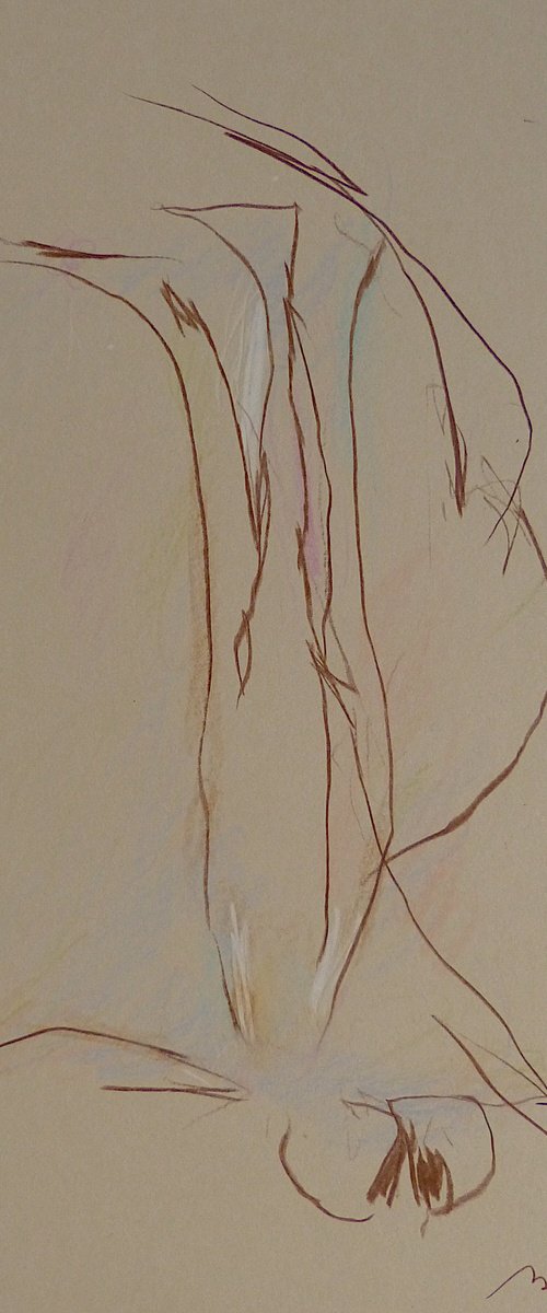 Morning 9.07 - 9 by Frederic Belaubre