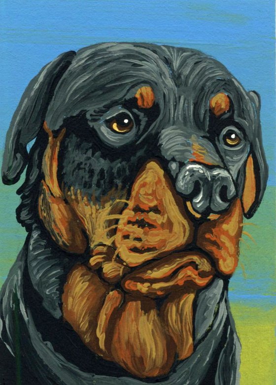 ACEO ATC Original Painting Rottweiler Pet Dog Art-Carla Smale