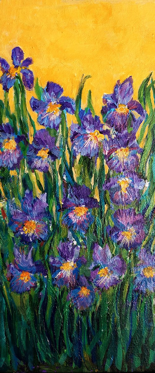 Garden Irises by Asha Shenoy