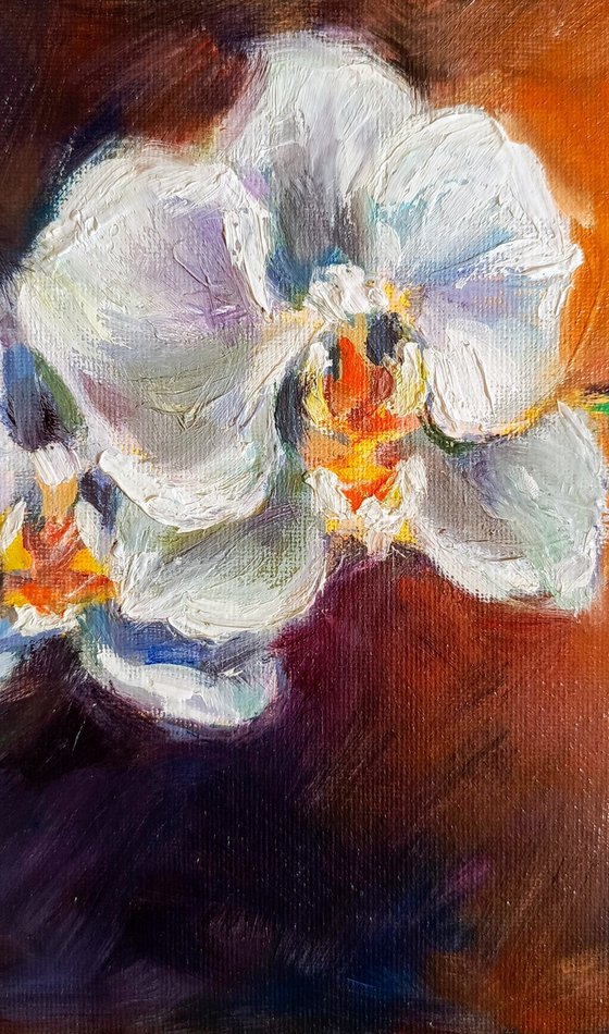 White orchid floral art