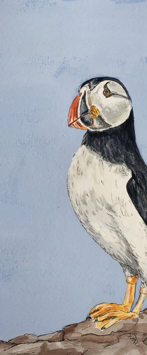 Puffin #1 by Laurence Wheeler