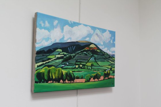 A Patchworked Skirrid