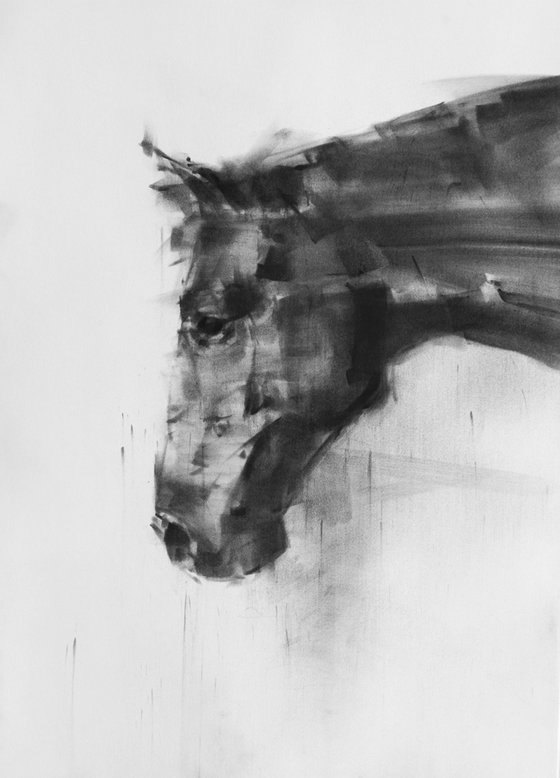 Horse Portrait 02