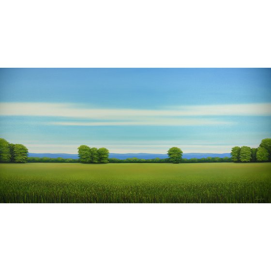 Summer Field - Blue Sky