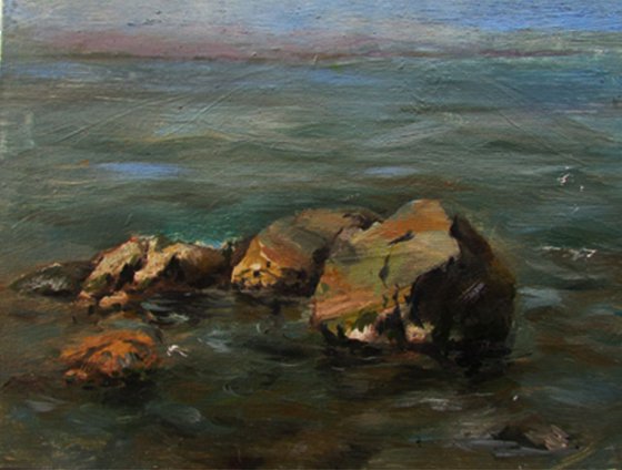 rocks near the shore