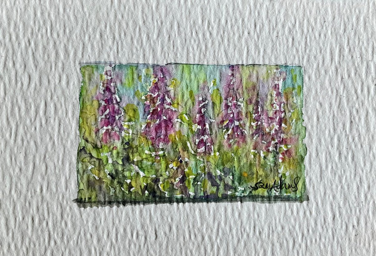 Row of foxgloves by Samantha Adams