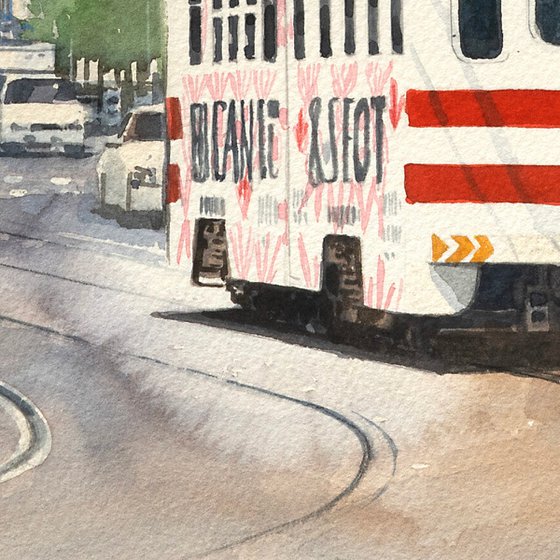 Trams and buses on urban tracks
