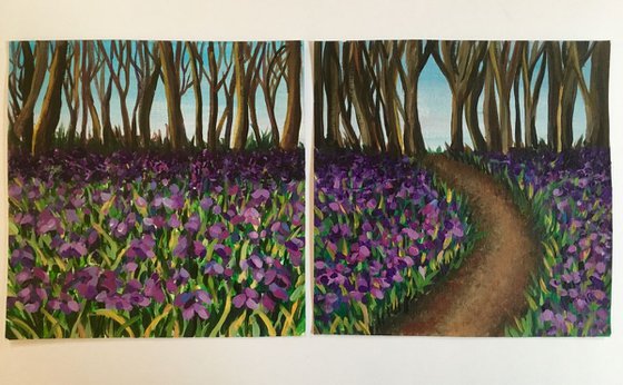 Bluebell Woods Pair