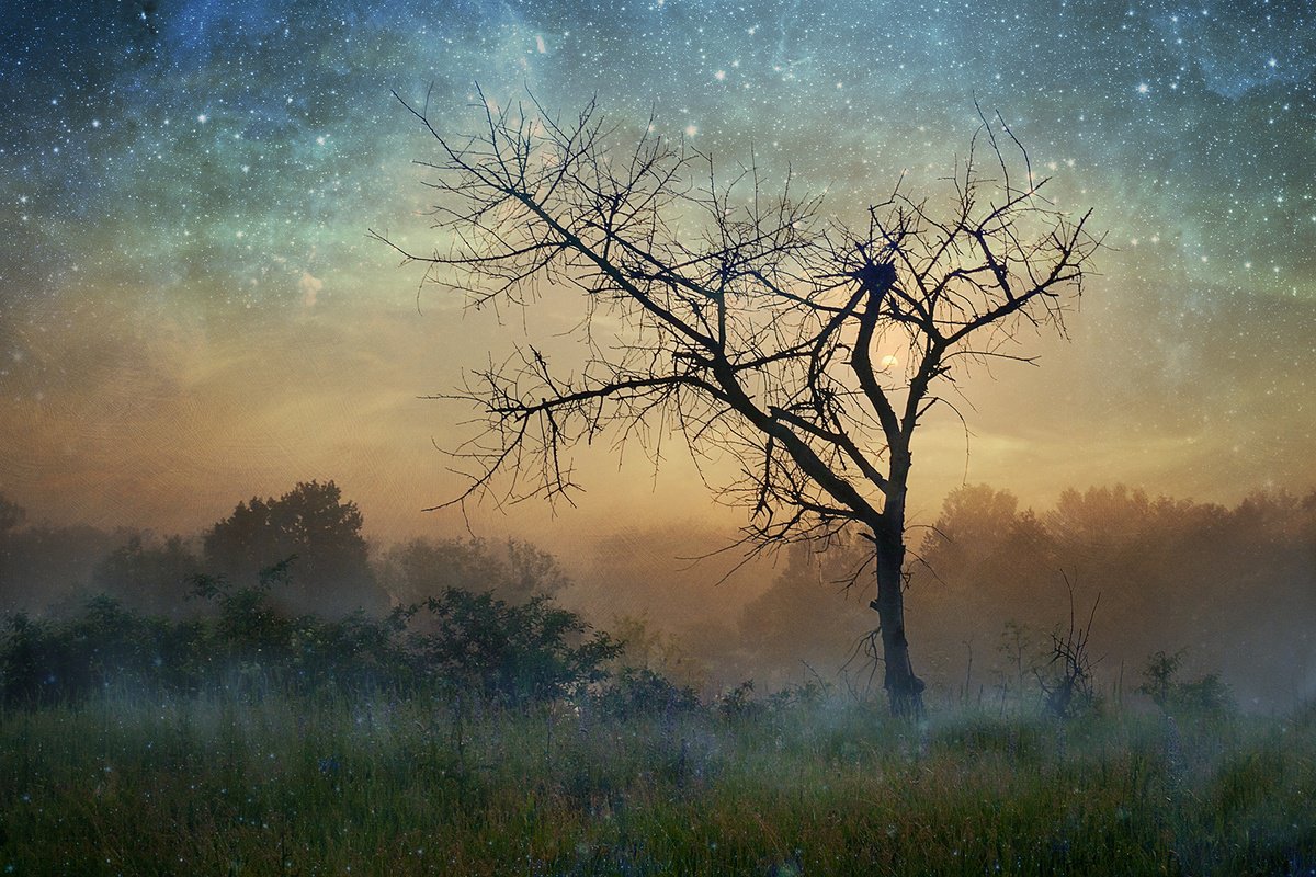 Impressionistic Landscape Photograph By Valerix, 24 X 16", Nightlights, Original Artwork