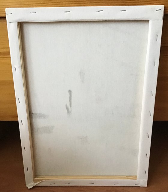 Reflections in the puddle