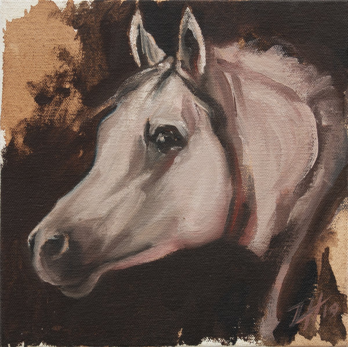 Equine Head Arab White (study 11) by Zil Hoque