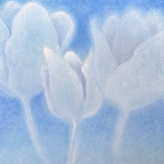 Clouds-Flowers