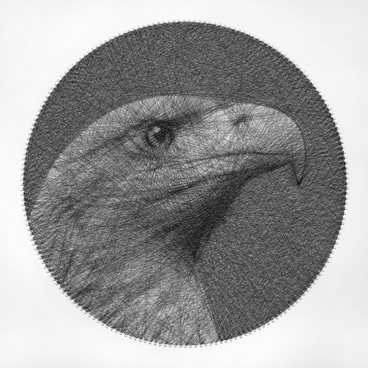 Eagle Sring Art by Andrey Saharov