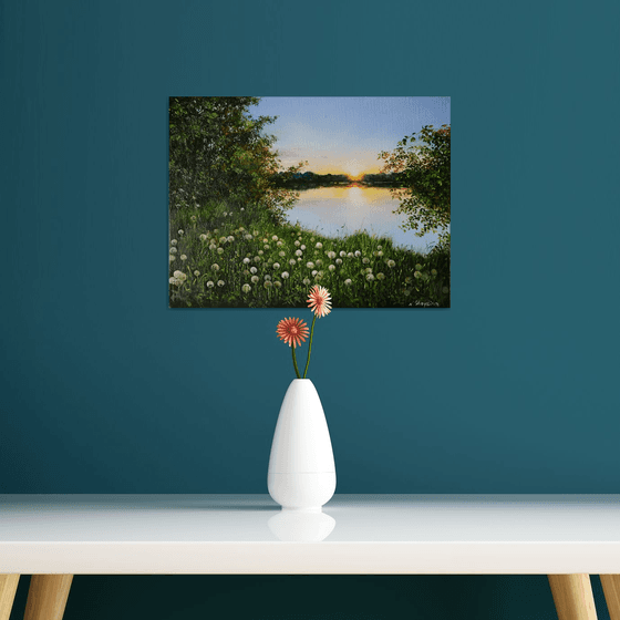 Dandelion Meadow at Sunset