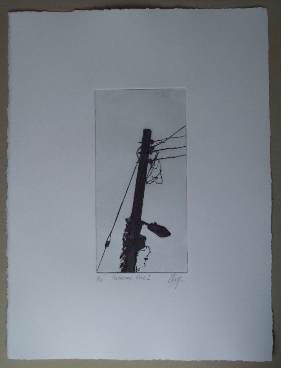 Telegraph Pole 1 by richard kaye