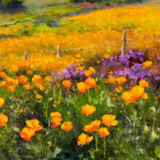 'Coastal wildflowers'