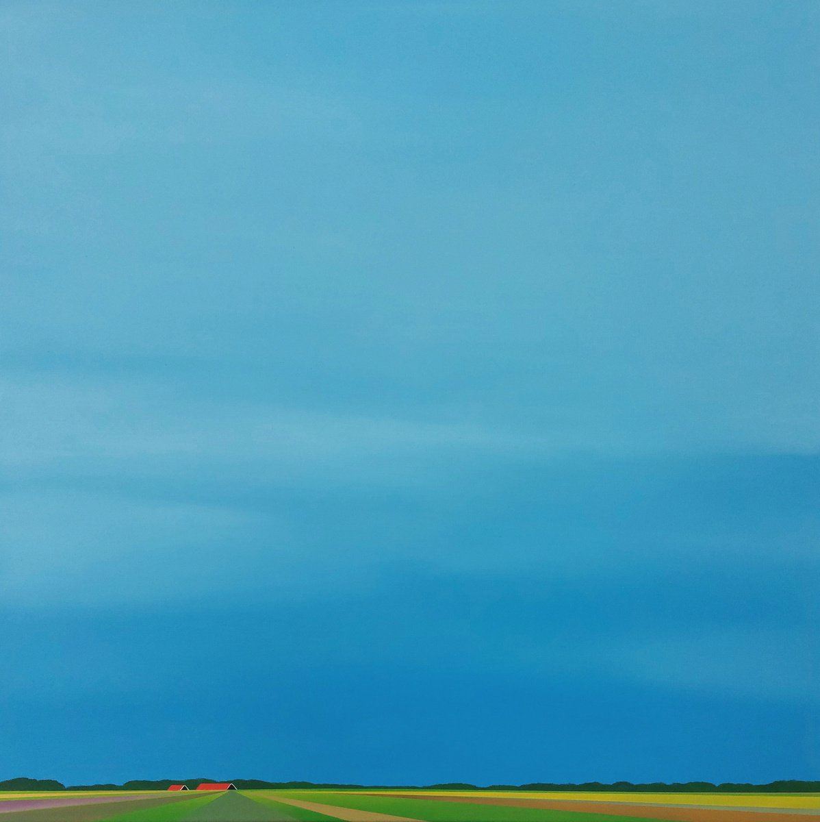 Sunshine over the fields (Zeeland) by Nelly van Nieuwenhuijzen