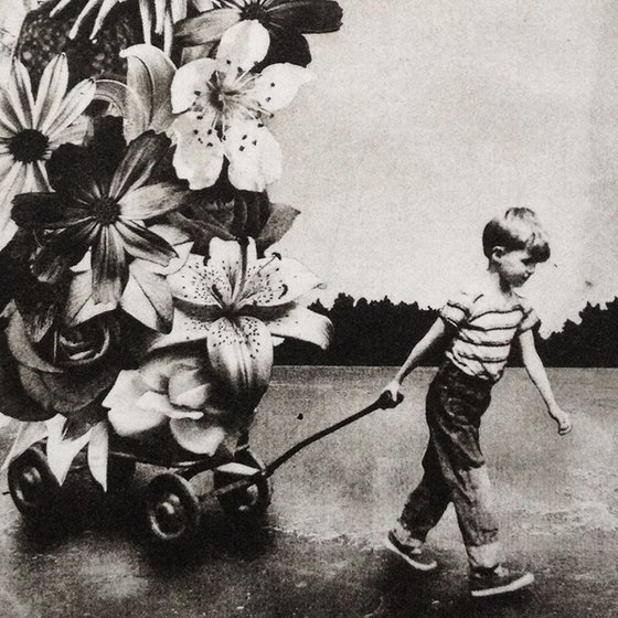 The Boy and The Flowers