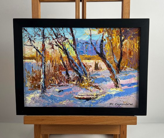 In the Winter Forest