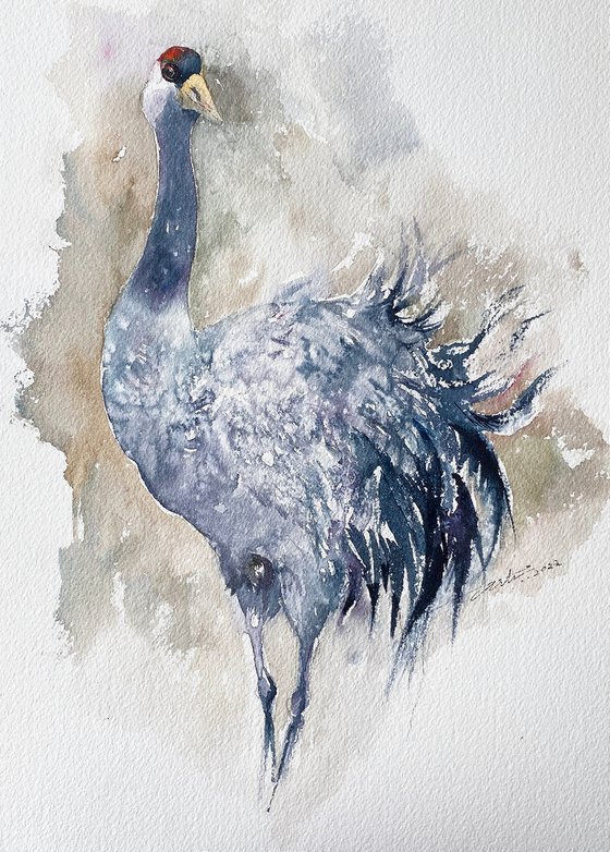 Truffles_Common Crane