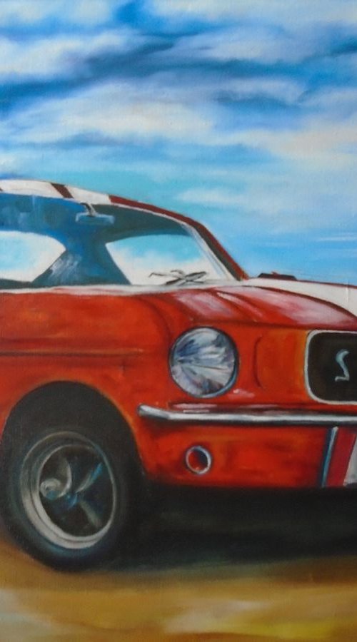 Vintage Mustang by Timea  Valsami