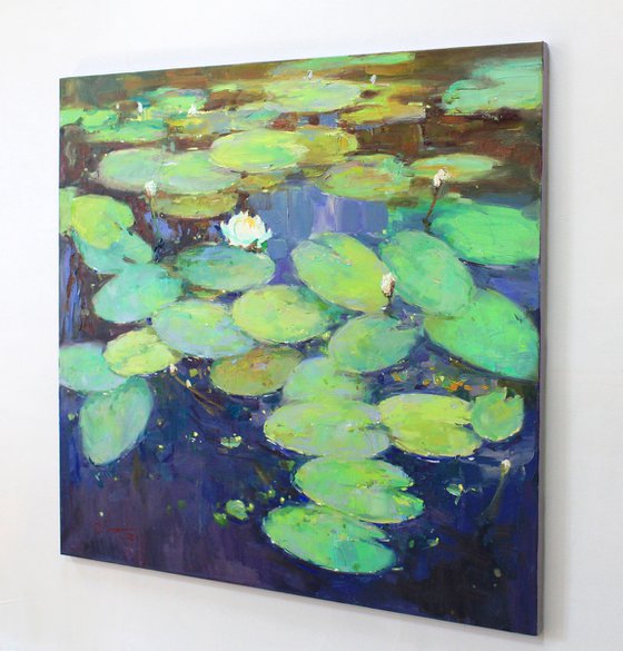 Water Lilies